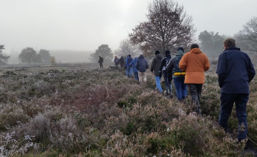 Cursus heidebeheer