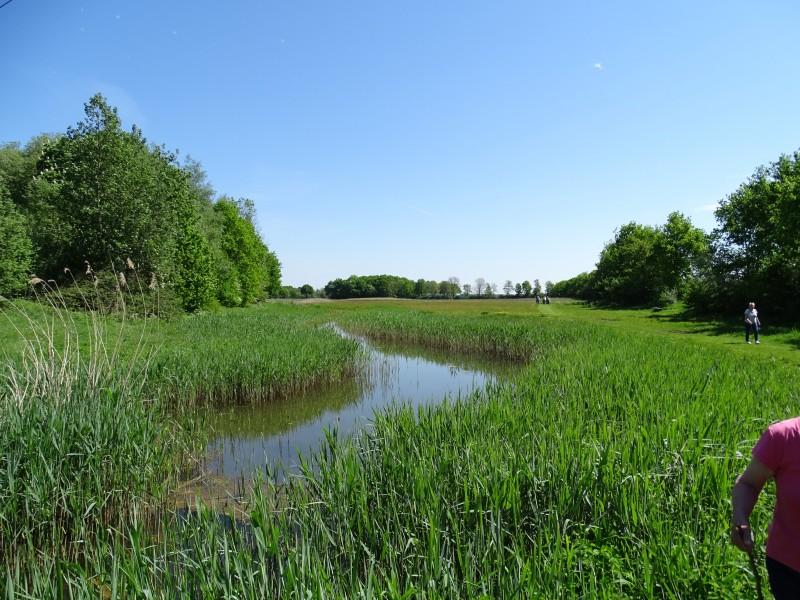 Je+erf+in+oude+glorie+herstellen%3F+Landschapsbeheer+Drenthe+heeft+zak+met+geld+voor+grondeigenaren+in+Meppel+en+De+Wolden