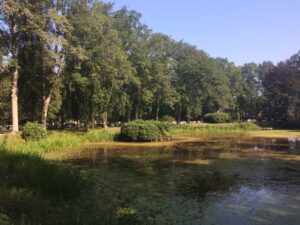 Begraafplaats Kerkenveld Smilde